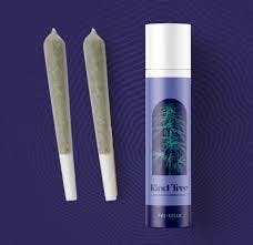 Kind Tree Dino Bites Pre-Rolls Multipack 2pk/1.0g