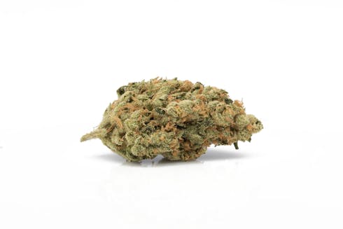 Lime OG