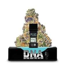 PlugPlay DNA Animal Mintz 1G Pod