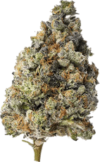 Essence | The Soap | 3.5g