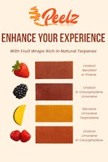 PEELZ FRUIT WRAPS STRAWBERRY