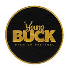 YOUNG BUCK - Black Jack 5 Pack Sativa Flower Pre Rolls 2.5