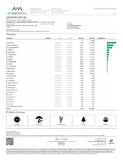 Select Elite Briq All In One Disposable Vape 2g Dosido (I) 01415