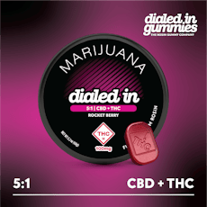 DIALED IN - GUMMIES ROSIN - 500MG CBD / 100MG THC - 10PK - ROCKET BERRY RELAX - INDICA