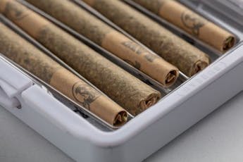 Charlie's PreRolls 3g: 5pk Scented Marker