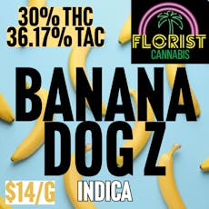 Florist | BULK | Banana Dog Z