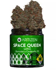 Space Queen by Artizen