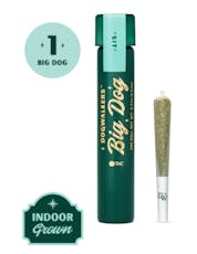 Animal Face (Sit) Big Dogs Preroll