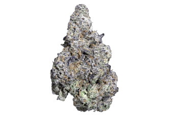 Cheech & Chong's StaDankOhhh Prepack (1/8 oz) Governmint Oasis