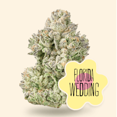 Florida Wedding Cake | 1G