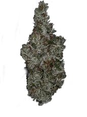 Nectarine Dream I 3.5g