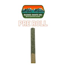 Coastal Zoots - Moon Runtz 0.5g Preroll - 2 pack