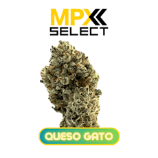 MPX Select™ Select Queso Gato Flower