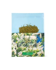 Infused Ground APPLE JACK