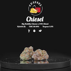 Chiesel - Garden First (H)