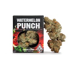 Decibel | Flower 3.5g | H | Watermelon Punch