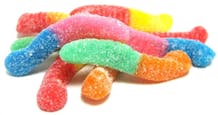 KOC Rainbow Worms