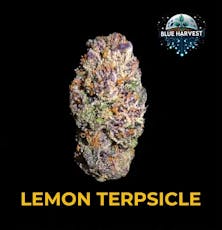 Blue Harvest - Lemon Terpsicle - 3.5g