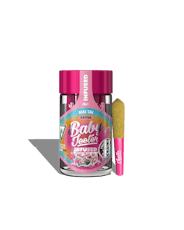 Jeeter | Mai Tai | .5g Infused PR 5pk (2.5g)