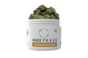 Animal Cocktail - 3.5g