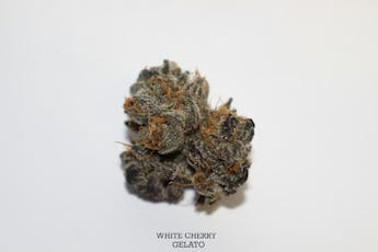 Roemer Farms - White Cherry Gelato (H) - 26.46% - Flower - 3.5g