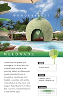 WONDERBRETT-Preroll-Melonade-.7g