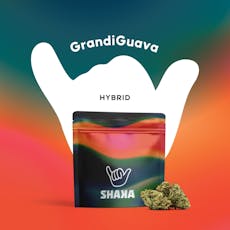 Shaka Prepack (1/8 oz) GrandiGuava