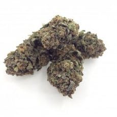 Deli Style Diamond Tier - Trop Cherry (Cloud Cover)