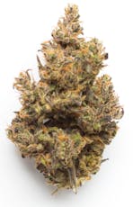 Platinum Shelf - Jungle Pie (I)