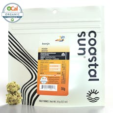 Coastal Sun | Flower 14g | S/H | Banjo