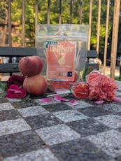 Peach | Lollipop | "Lollipots" | 5pk