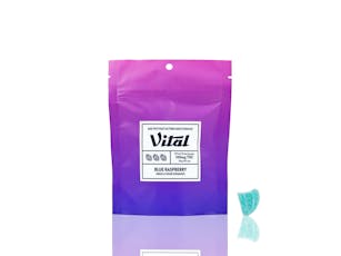 Vital Pectin (Vegan) Gummies Blue Raspberry 100 MG (I)