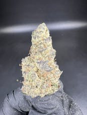 Grape Cream Cake - Flower - Indica