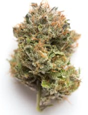 Silver Shelf - Gelato #33 (H)