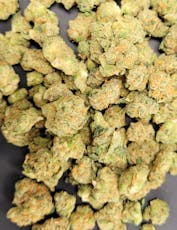 Popcorn Shelf - Punch Breath (H)