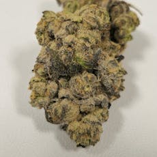 Kush Cream | High Supply | Buds | 7g