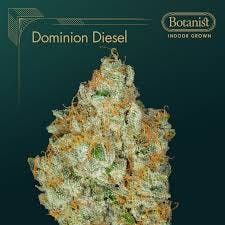 Dominion Diesel | Flower