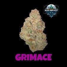 Blue Harvest | Grimace | 1g PR