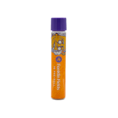 FRANKLIN FIELDS | JILLY GLUE | HYBRID | PRE-ROLL | 1G | REC