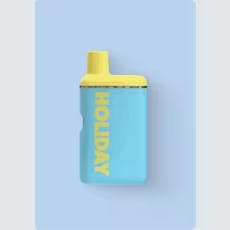 Holiday | Airplane Mode (H) All-In-One Disposable Vape | 1g