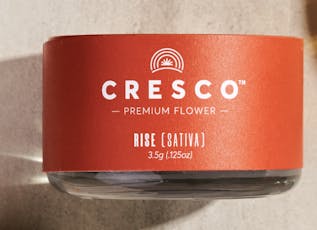 CRESCO PINEAPPLE PUNCH FLOWER 3.5G