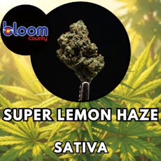 Flower - Bloom County - Super Silver Haze - Shake