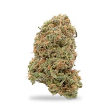 Grown Rogue - Blue Dream