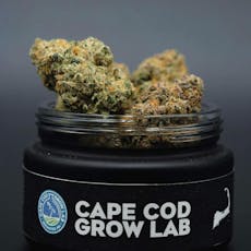 Alien Marker | Flower