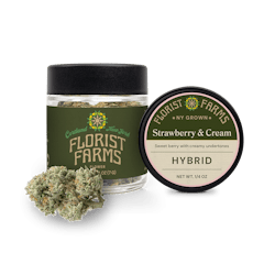Florist Farms | Strawberries & Cream | Hybrid | Flower | 7g