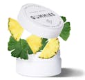Pineapple Basil (Energy) | Gummies