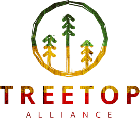 Peach Pop | Flower Bar