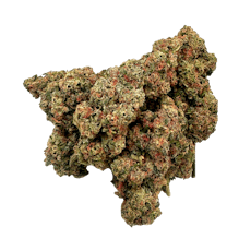 Plant Nerd Platinum Pave Buds