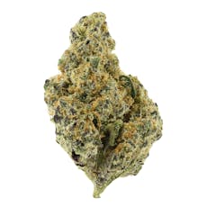 High Grade | Gelonaid