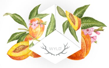WYLD Gummies 10pk - Peach 2:1 CBD